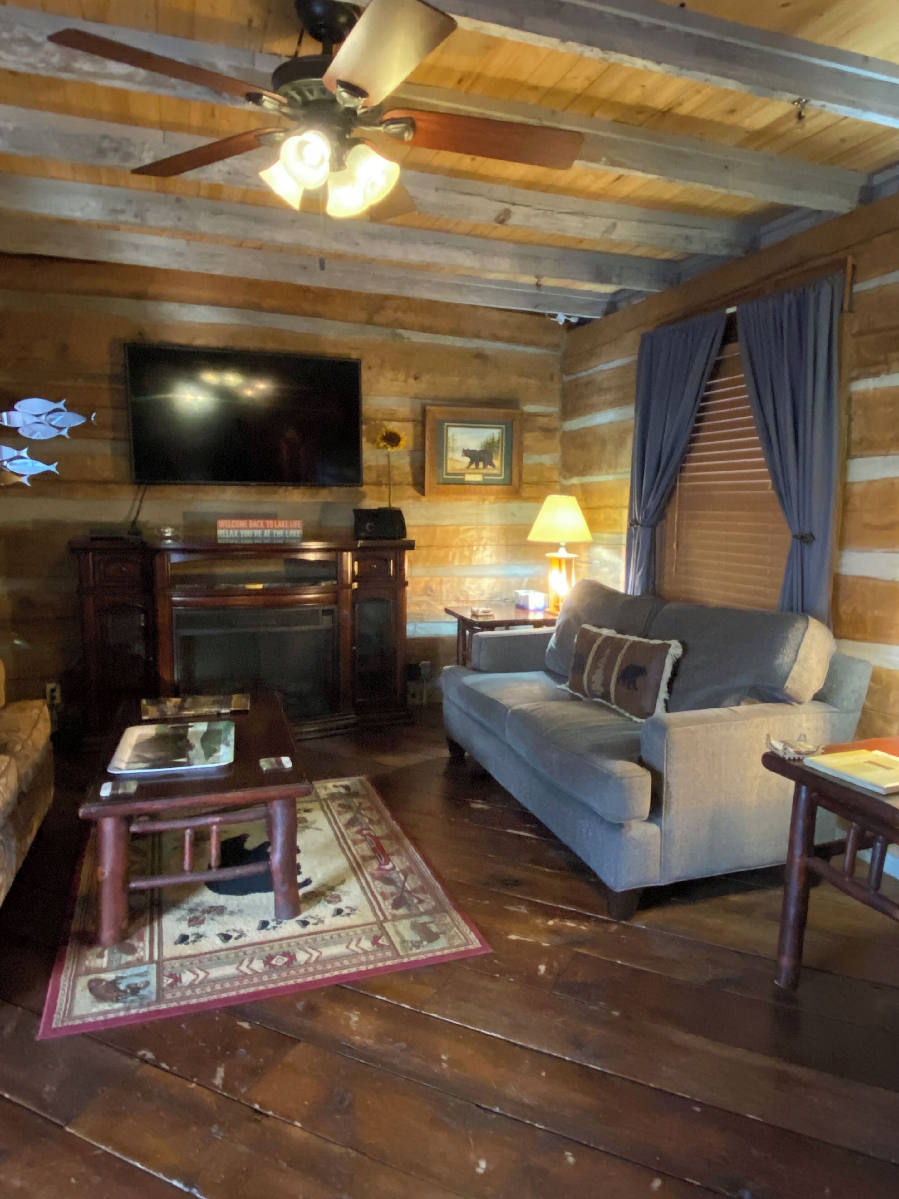 智能电视、壁炉、DVD 播放器、影片库