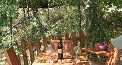 Apartamento de 2 dormitorios, piscina natural en una ubicación tranquila y tranquila cerca del mar