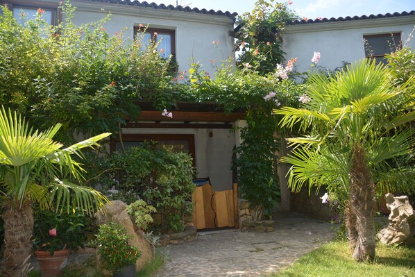 A courtyard with a stone pathway, surrounded by lush greenery and flowering plants.