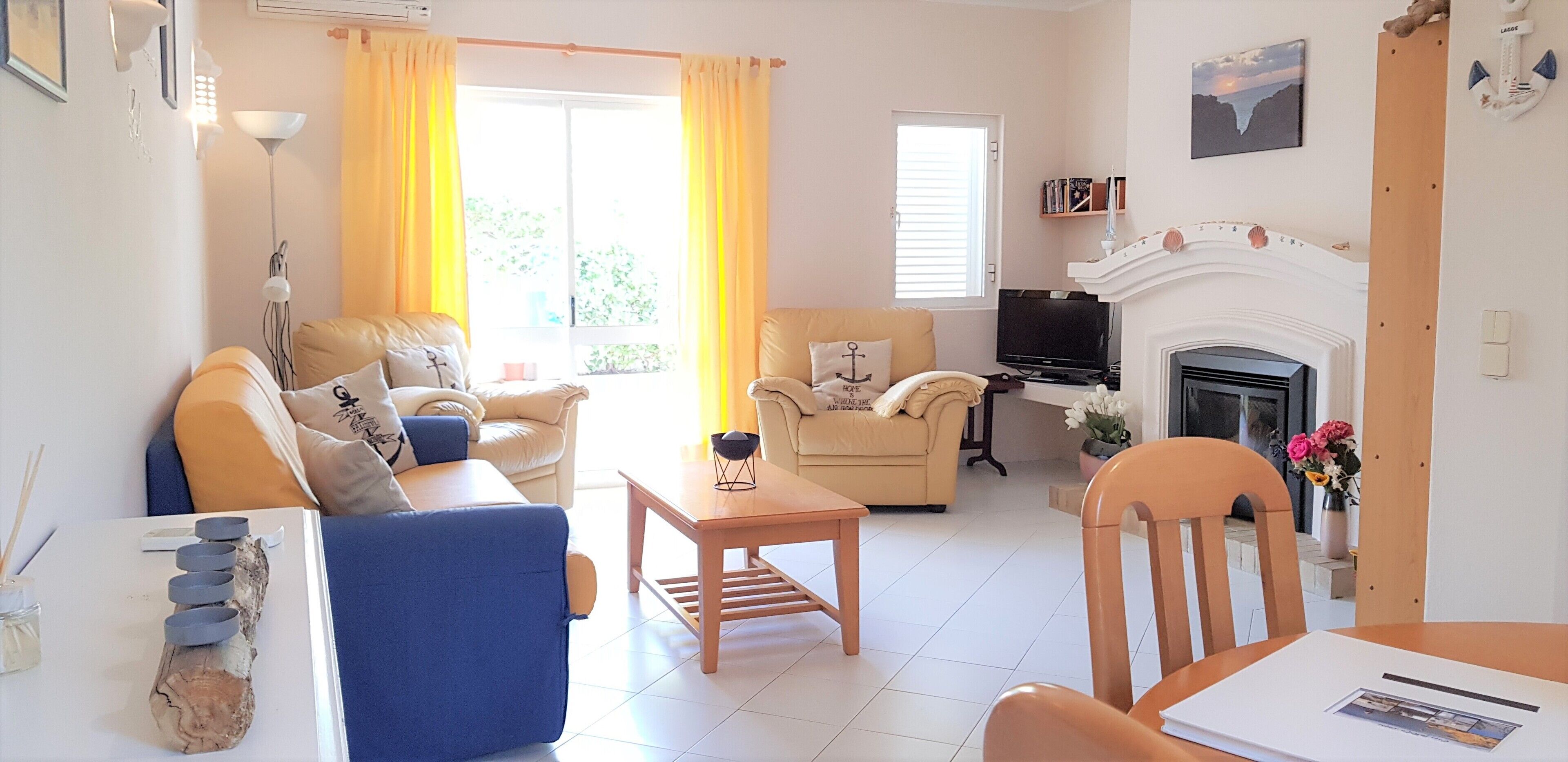 电视、壁炉、DVD 播放器、书