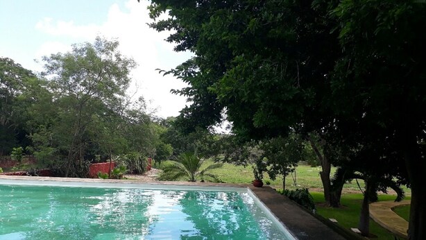Outdoor pool - San Antonio Dzina Hacienda (Motul)