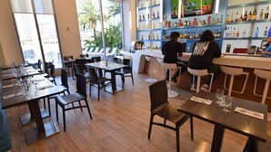 Un restaurante con mesas y sillas de madera, una zona de bar con varios tipos de botellas, y amplios ventanales que ofrecen vistas a palmeras y edificios.
