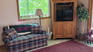TV, DVD player, books, video library