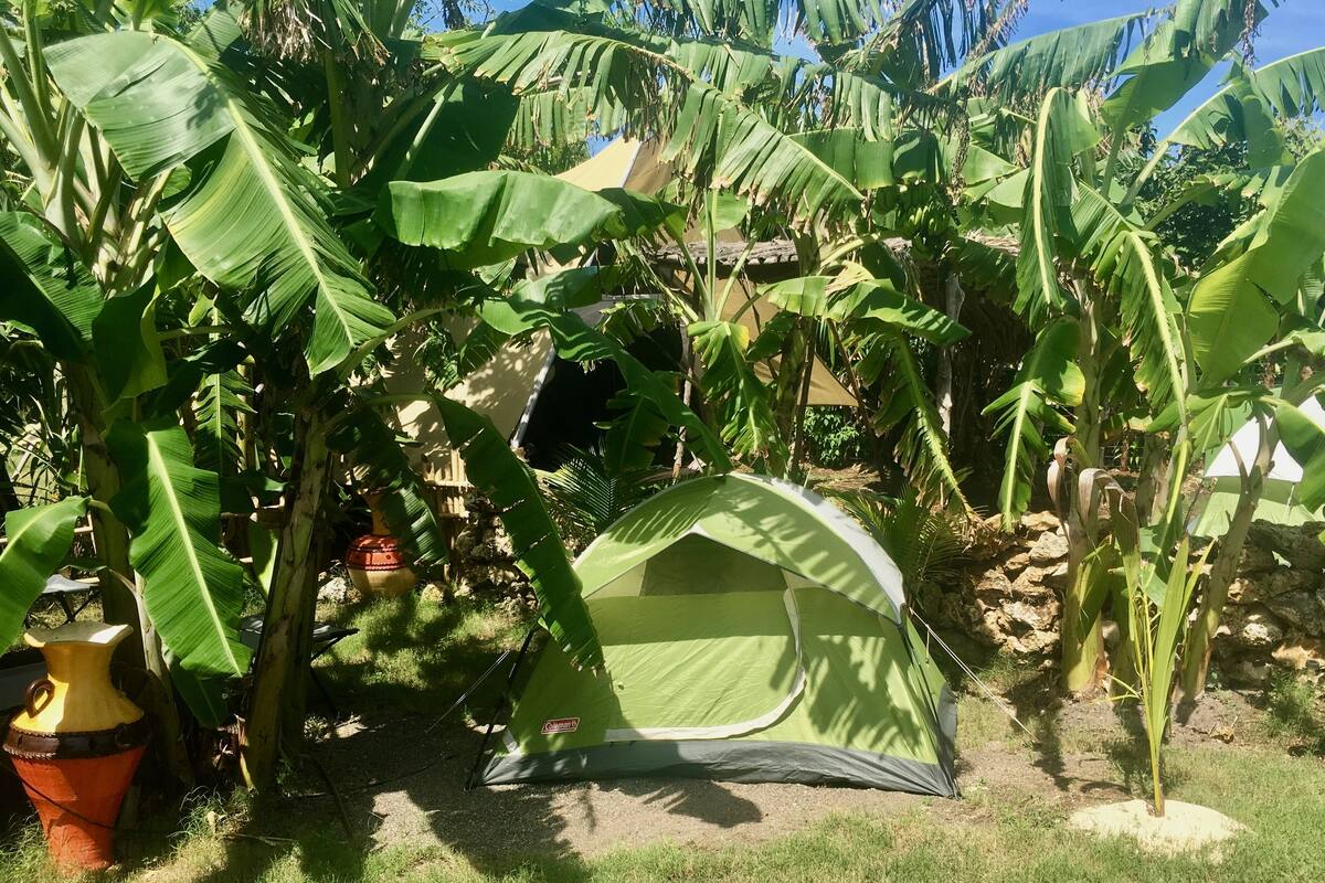 Comfort Tent, 2 Single Beds, Ocean View