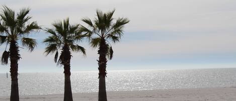 Tres palmeras en una playa con mar tranquilo y cielo despejado.