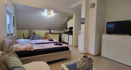 Apartment near Frankfurt / Wiesbaden: FewoEla1