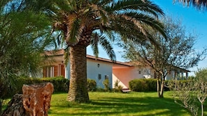 A house with a white facade and a red roof, surrounded by lush greenery and a palm tree.