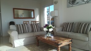 Smart-tv, een dvd-speler, een tafeltennistafel en boeken