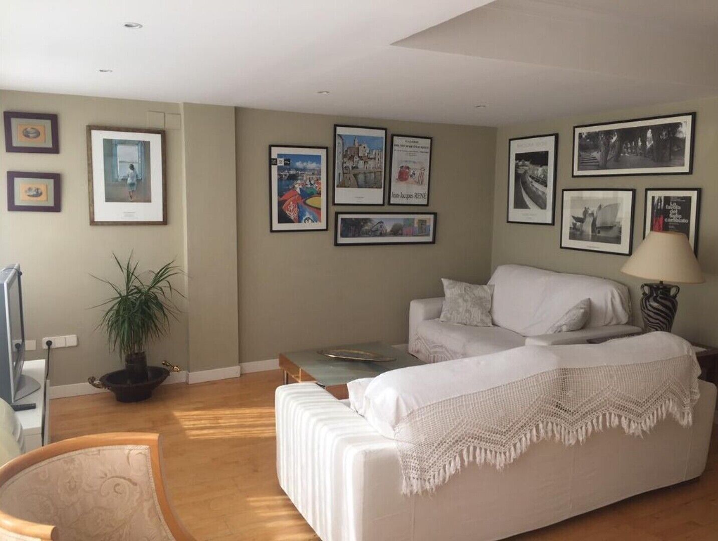 电视、DVD 播放器