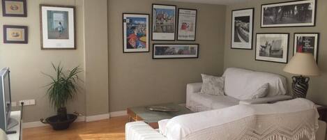 电视、DVD 播放器