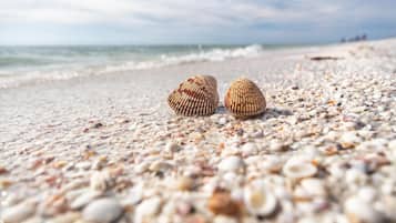 House, Multiple Beds (Pet-friendly home with southern expos) | Beach