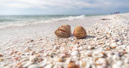 Pet-friendly Home With Southern Exposure and Pool