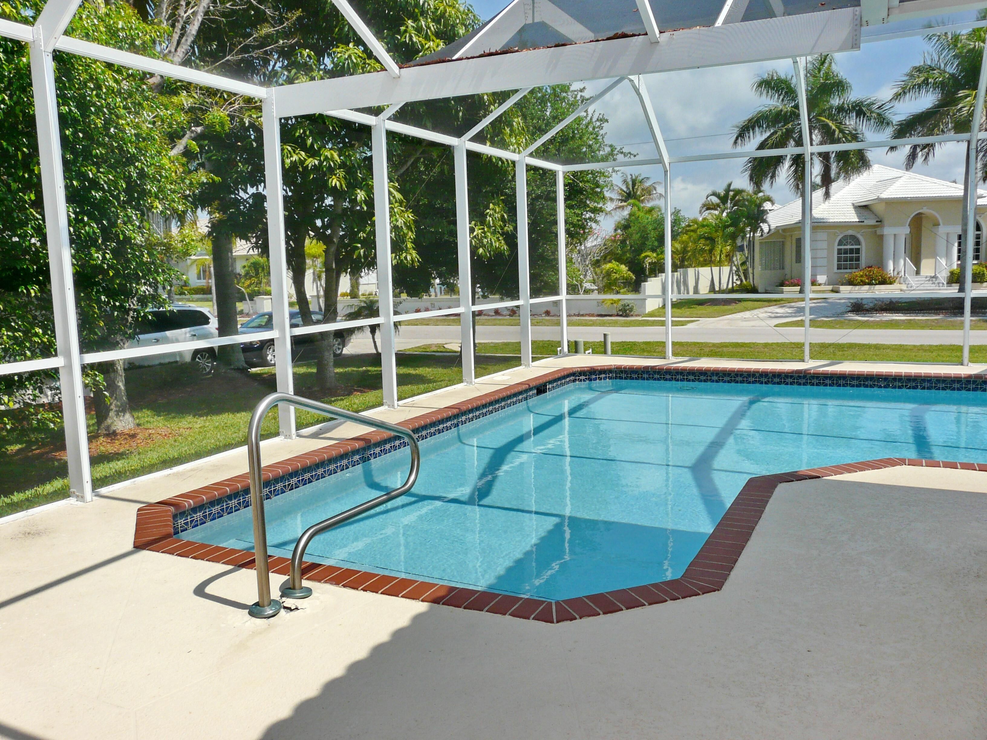 A swimming pool with a white pool cover, surrounded by a white fence and palm trees.
