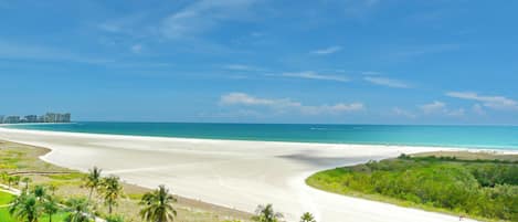 A beach with a curved road, palm trees, and a distant city skyline.