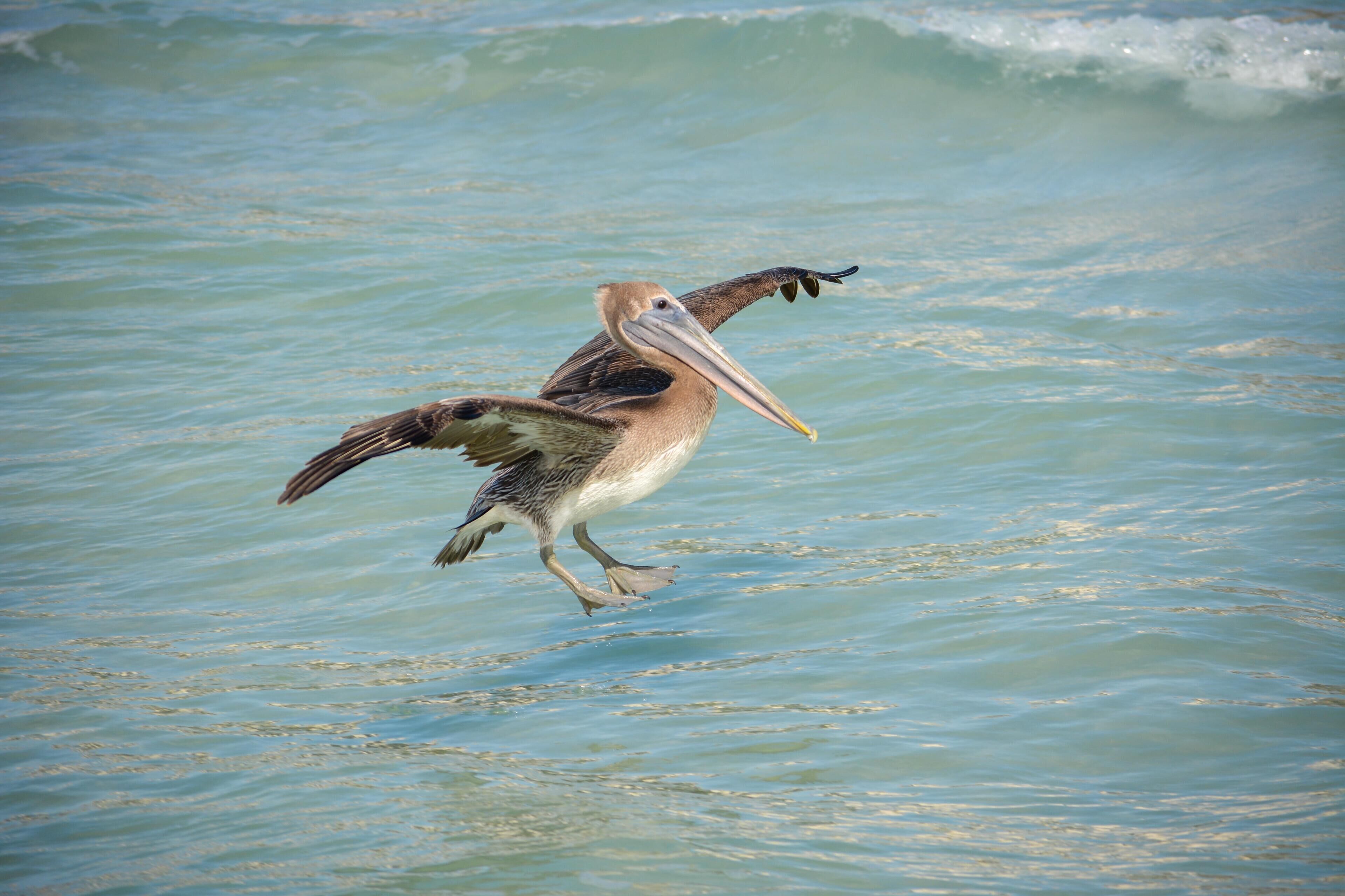 하우스, 침대(여러 개) (Serene waterfront home with pool, spa) | 기타