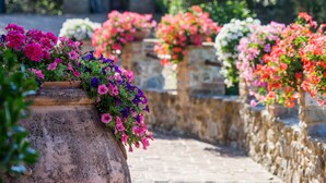 A pathway lined with terracotta planters filled with vibrant flowers. - Villa with 20 beds divided into 5 apartments (Pari)