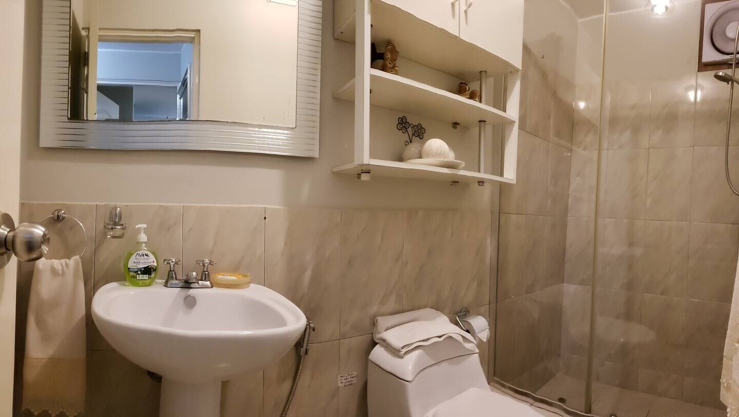 A bathroom with a sink, mirror, shelves, and a shower.