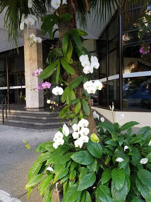 Garden - Flat Maravilhoso (Rio de Janeiro)