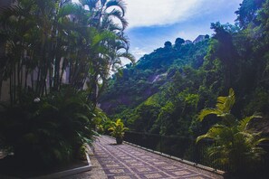 Land view from property