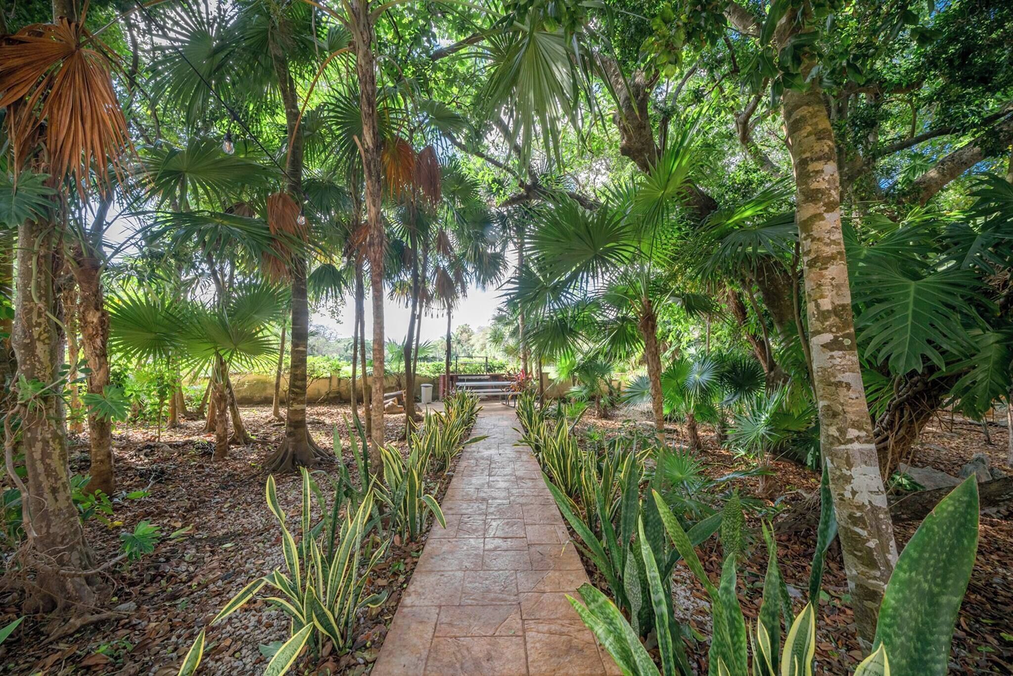 Terrain de l’hébergement 