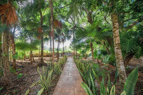 Property grounds - 2 BR Condo for 8 Guests - At Playacar, Chac Ha (Playa del Carmen)