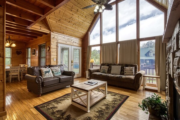 TV, fireplace, video games