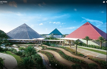 Exterior. Seascape Condo- Beachfront Resort With Pool and Spa