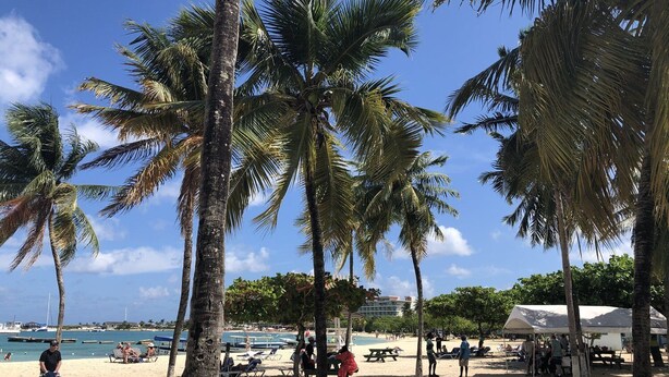 A beach with palm trees, sun loungers, and a clear blue sky. - Cool's 1bd, Villa B6, On the Beach&Garden View WIFI (Ocho Rios)