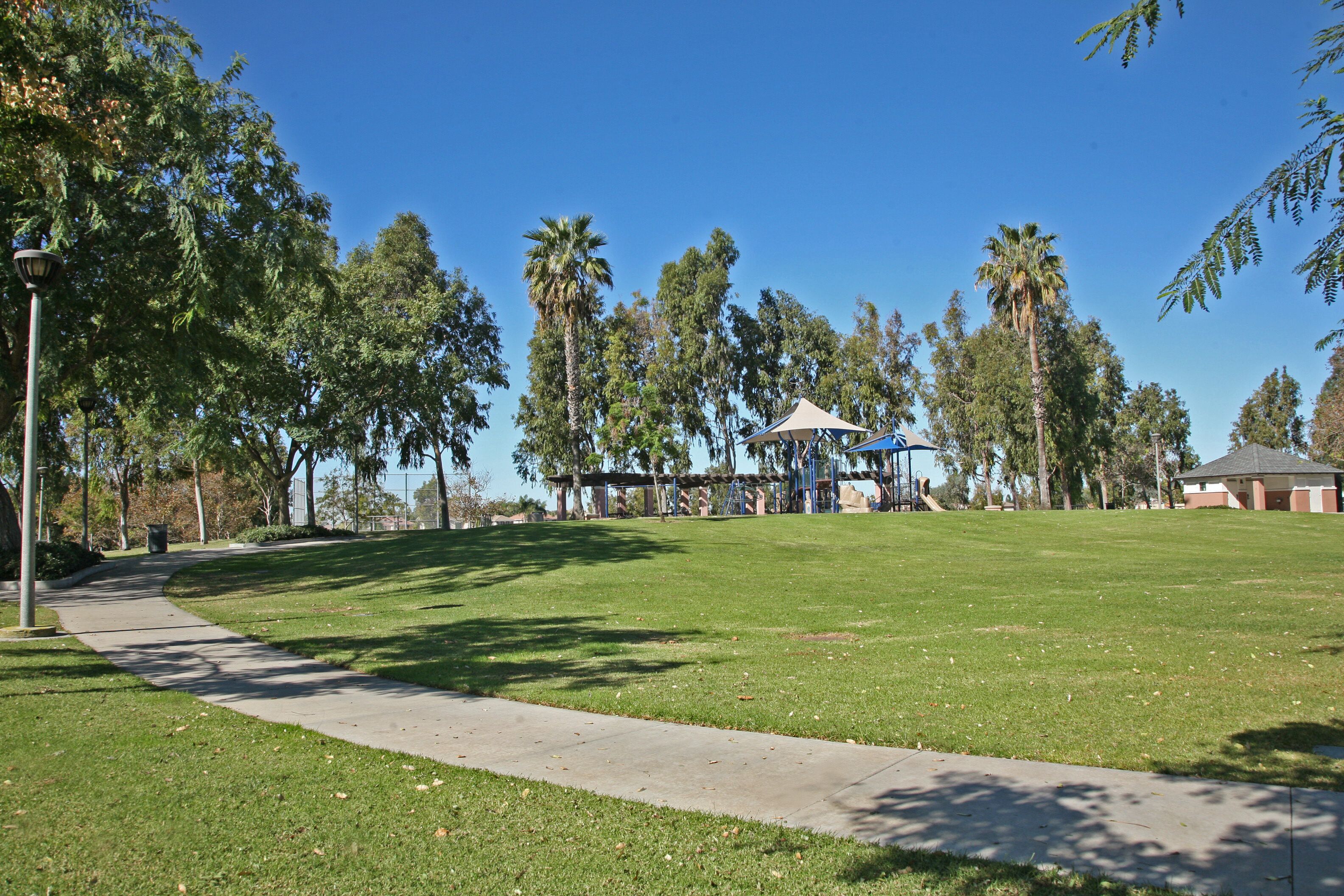 A park with a paved walkway, green grass, and trees.