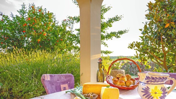 Une table dressée à l’extérieur, avec du fromage, des olives, du pain et une cruche, entourée de verdure et d’arbres.