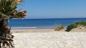 A stone-paved beach path leading to the sea with a palm tree on the left.