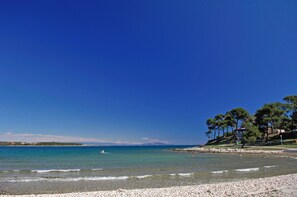 A beach with clear water, pebbles, and trees.
