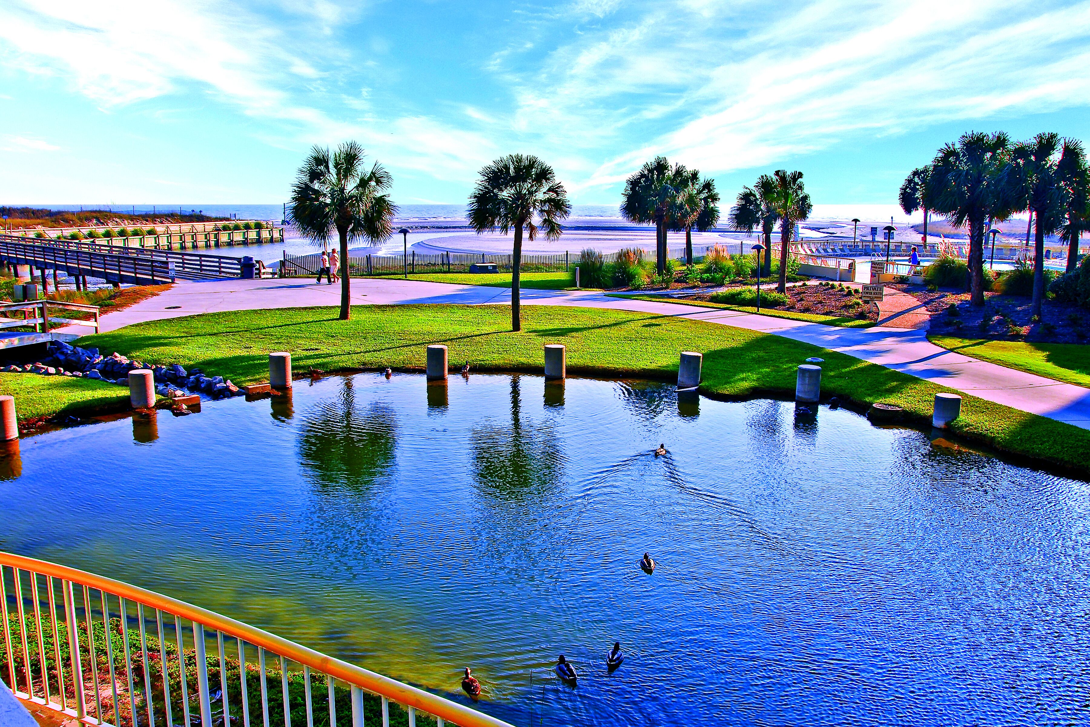 A park with a pond, walking paths, and palm trees.