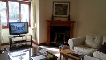 TV, fireplace, DVD player, books
