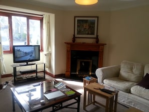 TV, fireplace, DVD player, books