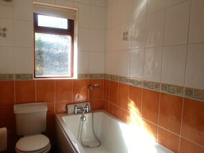 Combined shower/bathtub, hair dryer, towels, soap
