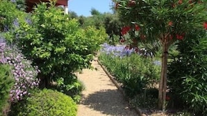 Un vialetto in giardino con diverse piante e un edificio con tetto rosso sullo sfondo.