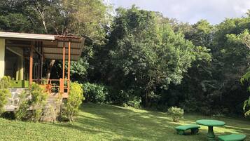 Cabin truyền thống | Màn/rèm cản sáng, bàn ủi/dụng cụ ủi quần áo