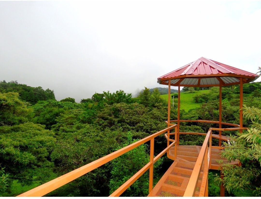 Cabin có tầm nhìn toàn cảnh, nhiều giường, quang cảnh núi | Quang cảnh núi