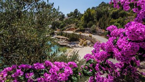 Un paisaje costero con una piscina cristalina, rodeado de olivos y vibrantes flores rosadas.