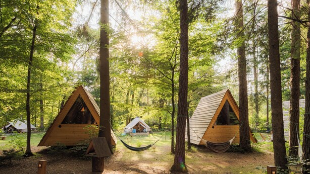 A forest with wooden treehouses connected by a hammock. - Wooden hut 'Forest bed' near to the river Savinja (Mozirje)