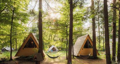 Wooden hut 'Forest bed' near to the river Savinja