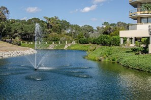 Relax by the serene water feature surrounded by lush greenery and a clear sky.
