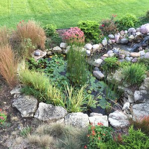 waterfall pond view from deck