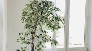 A room with a potted plant, a wicker basket with rolled towels, and a lace curtain. - NEW BEAUTIFUL APARTMENT WITH LARGE TERRACE- A CASA DI CAROLINA (Cassino)