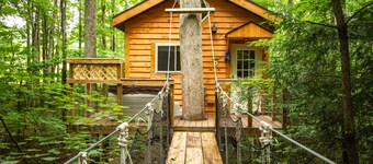 Beautiful tree house built amid Poplars, old White Oaks, and Red Maples.