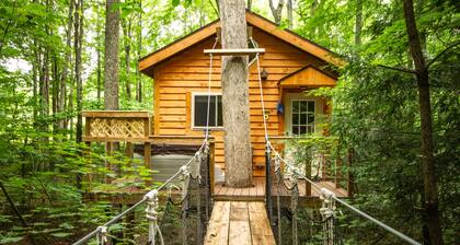 Beautiful tree house built amid Poplars, old White Oaks, and Red Maples.
