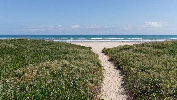 Ein Strandweg, der zum Meer führt, mit grasbewachsenen Dünen an beiden Seiten.