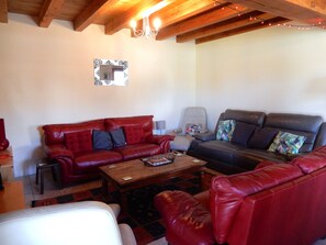 Un salon avec un canapé en cuir rouge, un canapé gris, une table basse en bois et un tapis à motifs.