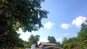 A garden with a white building, a yellow umbrella, and a stone wall. - Bohemiaz Resort and Spa (Kampot)